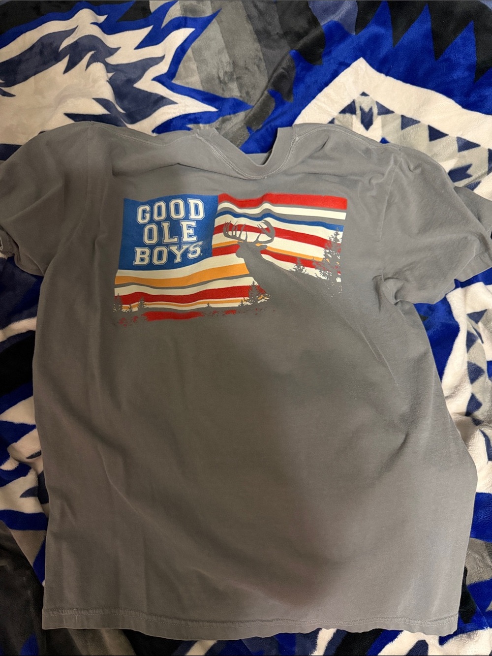 Kids Short Sleeve Graphic Tee - Gray